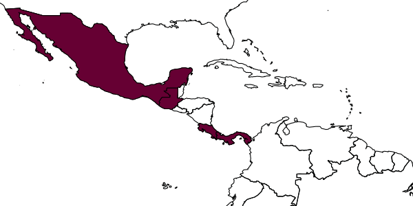 map of Azteca sericeasur     Longino, 2007